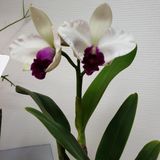 팜모닝 팜모닝·출석 게시글 이미지