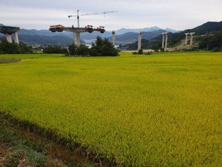 허굴산농장님의 팜모닝 · 출석 작성글 사진