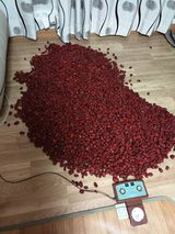 팜모닝 팜모닝·출석 게시글 이미지