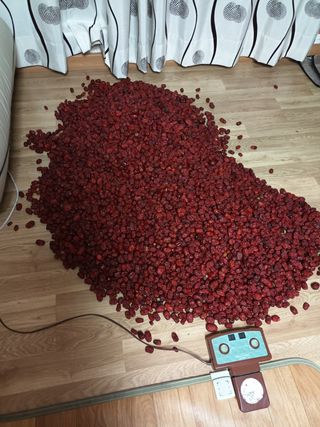 고태진님의 팜모닝 · 출석 작성글 사진