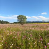 팜모닝 사과·일상 게시글 이미지