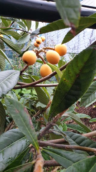 김상철님의 팜모닝 · 출석 작성글 사진