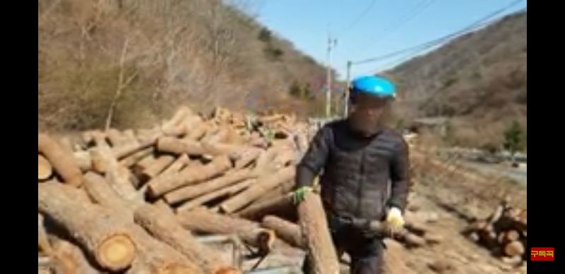 장터 상품 [표고버섯 종균접종 원목 9천원 ~ 1.3천원] 썸네일