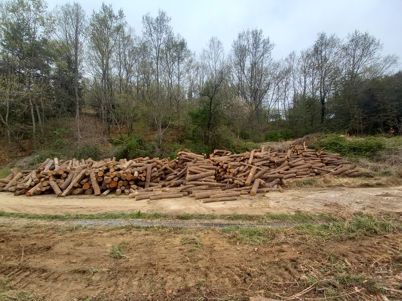 샬롬 ~님의 장터 판매 상품 [표고버섯 종균접종 원목 9천원 ~ 1.3천원] 첨부 사진