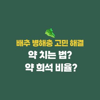 배추 농사도우미님의 배추 · 비료•농약 작성글 사진