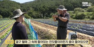 배추 농사도우미님의 배추 · 비료•농약 작성글 사진