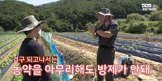 배추 농사도우미님의 배추 · 비료•농약 작성글 사진