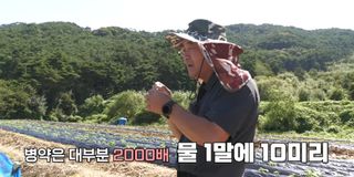 배추 농사도우미님의 배추 · 비료•농약 작성글 사진