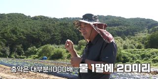배추 농사도우미님의 배추 · 비료•농약 작성글 사진