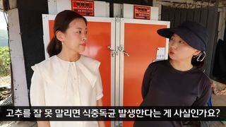 고추 농사도우미님의 고추 · 저장•가공 작성글 사진