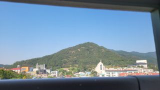 문보라님의 팜모닝 · 출석 작성글 사진