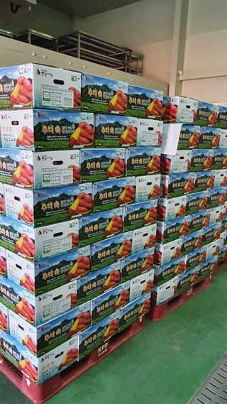 햇살처럼영농조합님의 작성글 사진