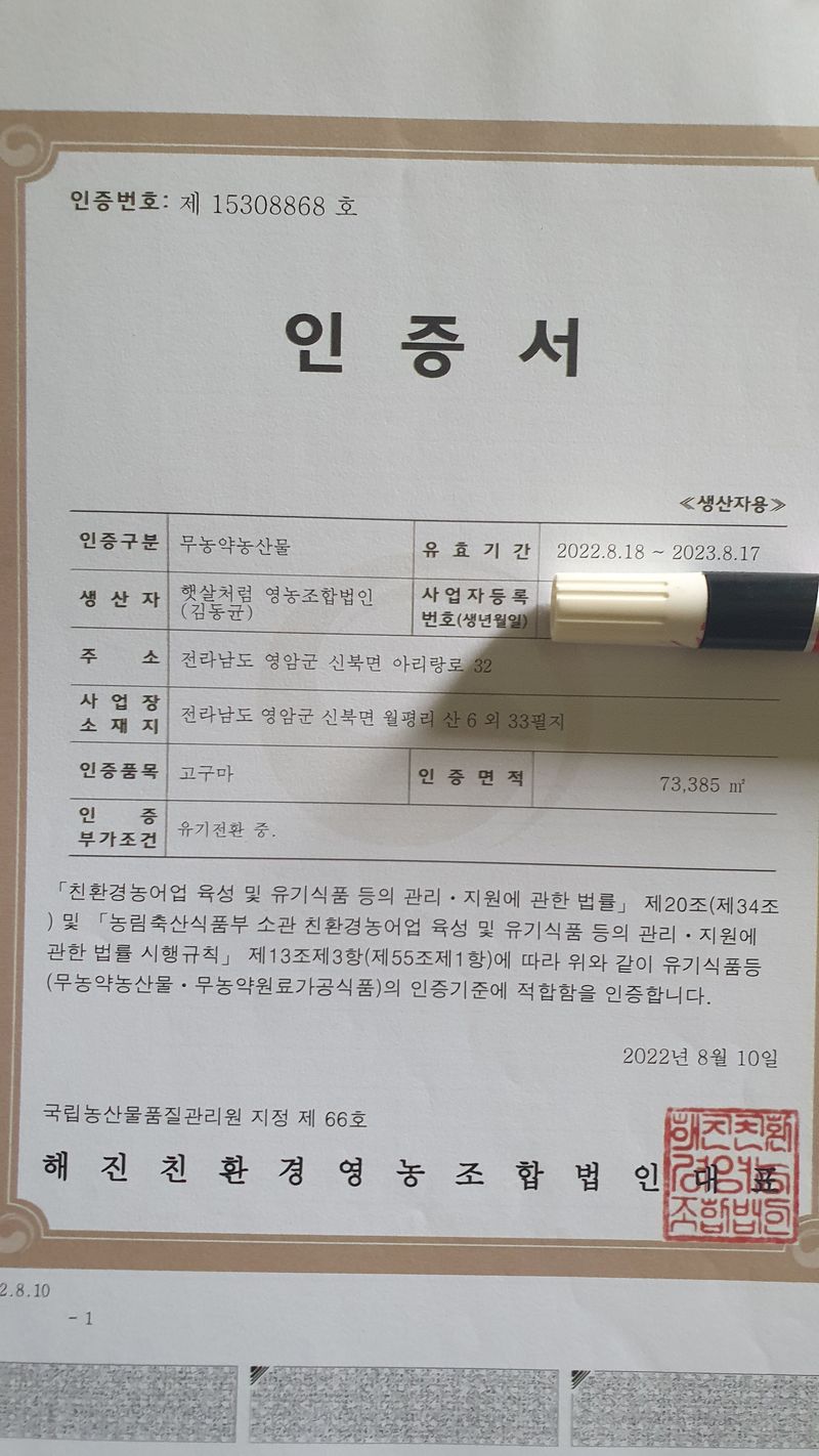 장터 상품 [친환경 호밤고구마 25000원부터40000원까지] 썸네일