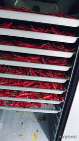 팜모닝 팜모닝·출석 게시글 이미지