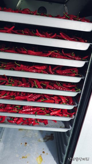 약선밥상머리님의 팜모닝 · 출석 작성글 사진