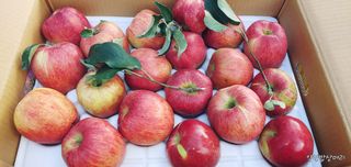 약선밥상머리님의 팜모닝 · 출석 작성글 사진