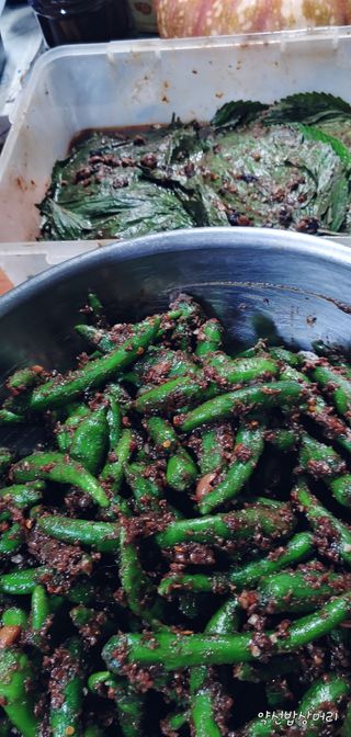 약선밥상머리님의 팜모닝 · 출석 작성글 사진