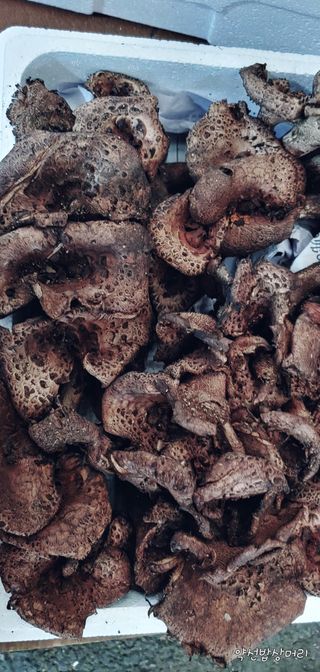 약선밥상머리님의 팜모닝 · 출석 작성글 사진