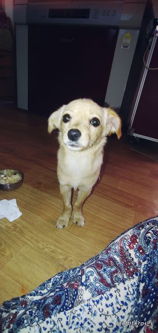 약선밥상머리님의 팜모닝 · 출석 작성글 사진