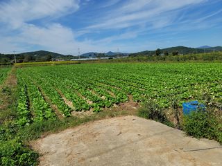 수미농장님의 팜모닝 · 출석 작성글 사진