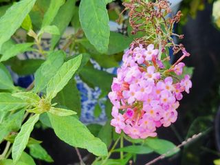 최경출님의 팜모닝 · 출석 작성글 사진