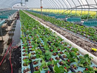 박상석님의 팜모닝 · 출석 작성글 사진