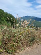 팜모닝 팜모닝·출석 게시글 이미지