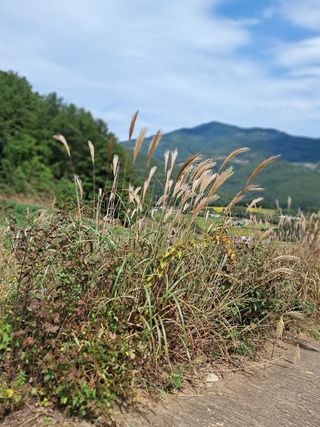 김미경님의 팜모닝 · 출석 작성글 사진