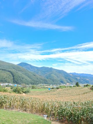 김미경님의 팜모닝 · 출석 작성글 사진