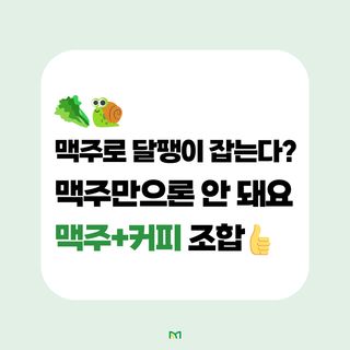 배추 농사도우미님의 배추 · 병해충상담 작성글 사진