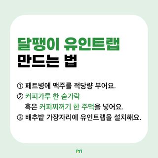 배추 농사도우미님의 배추 · 병해충상담 작성글 사진