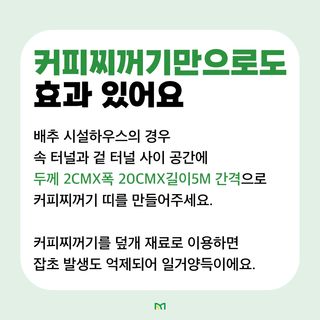 배추 농사도우미님의 배추 · 병해충상담 작성글 사진