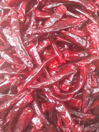 인생은 소풍처럼님의 작성글 사진