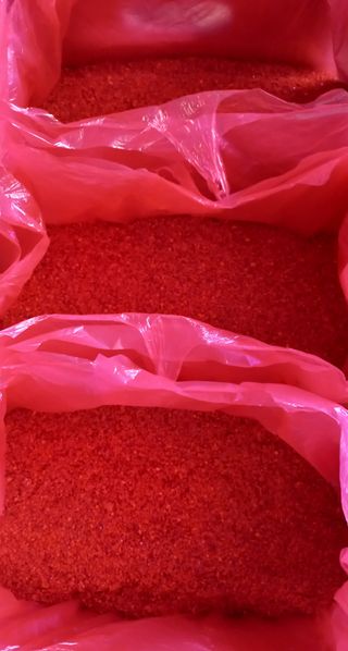 인생은 소풍처럼님의 작성글 사진