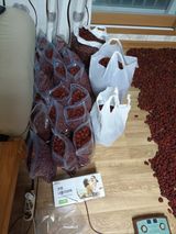 팜모닝 팜모닝·출석 게시글 이미지