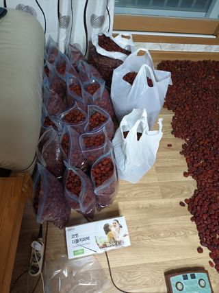 고태진님의 팜모닝 · 출석 작성글 사진