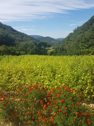 오나윤님의 팜모닝 · 출석 작성글 사진