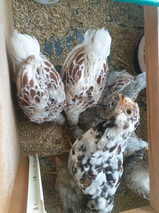 최대식님의 작성글 사진