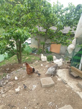 최대식님의 작성글 사진