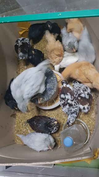 최대식님의 작성글 사진