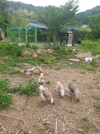 최대식님의 작성글 사진