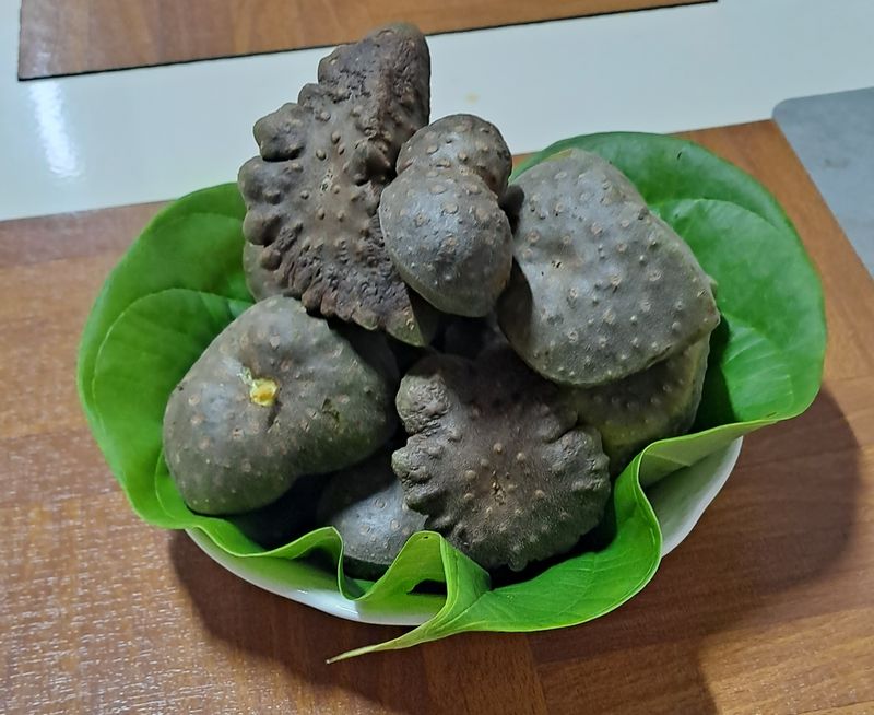 손영국님의 장터 판매 상품 [열매마 ] 첨부 사진