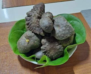 손영국님의 작성글 사진