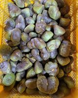 팜모닝 · 게시글 이미지