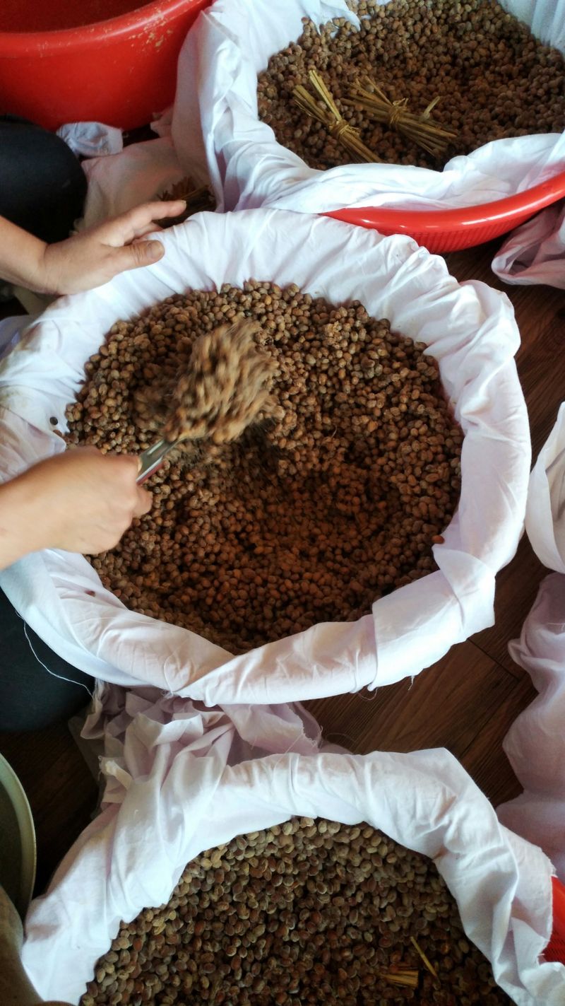 숙이네농원님의 장터 판매 상품 [ 1키로  만원] 첨부 사진