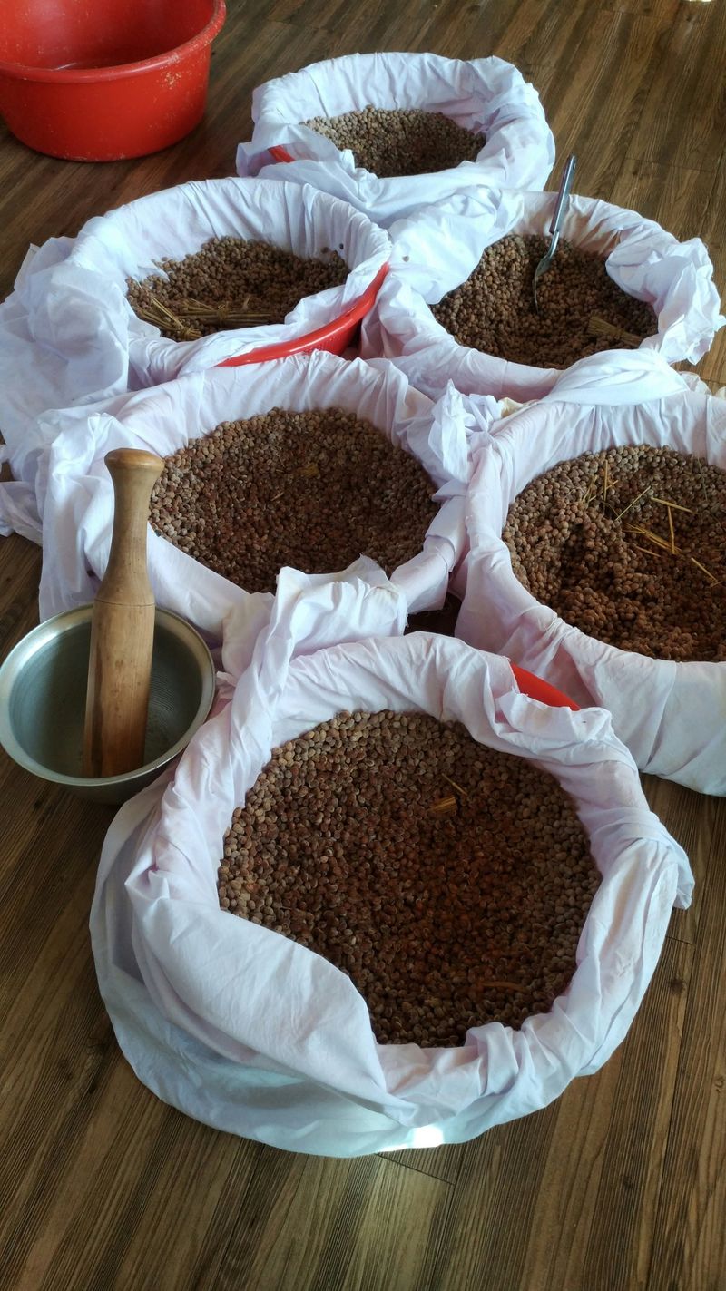 숙이네농원님의 장터 판매 상품 [ 1키로  만원] 첨부 사진