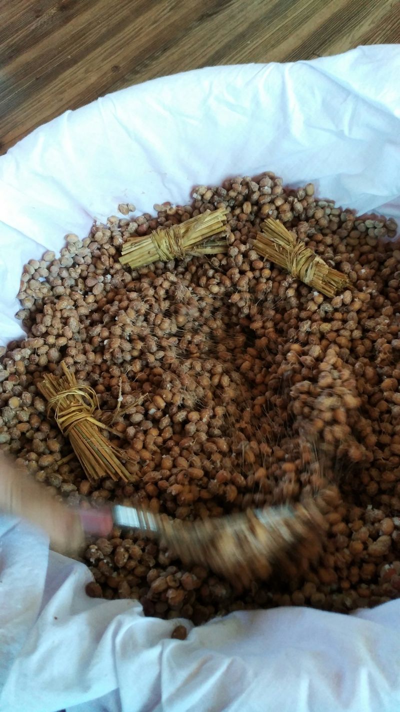 숙이네농원님의 장터 판매 상품 [ 1키로  만원] 첨부 사진