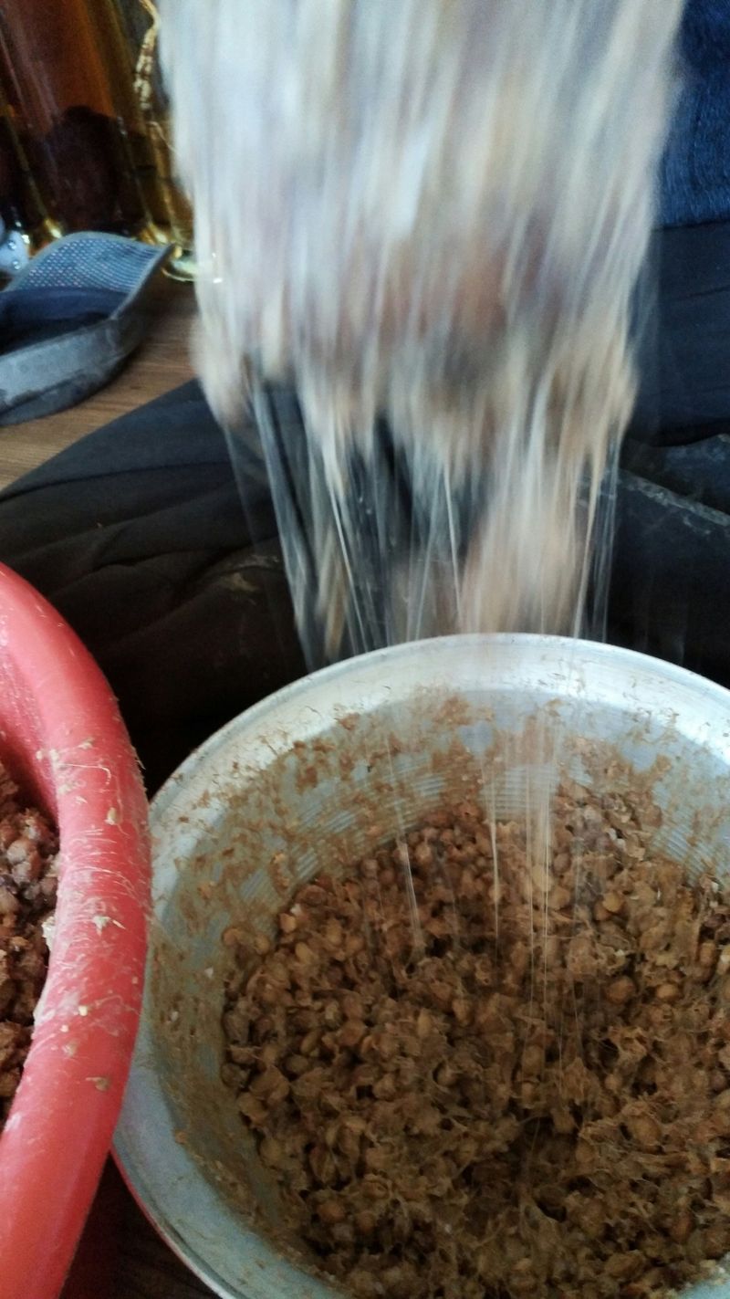 숙이네농원님의 장터 판매 상품 [ 1키로  만원] 첨부 사진