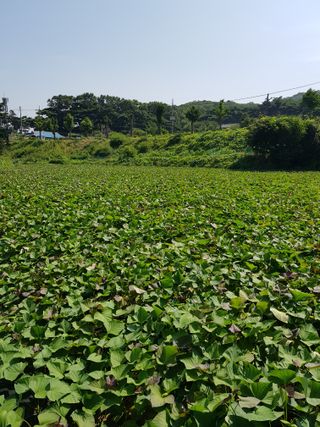 박명광님의 작성글 사진