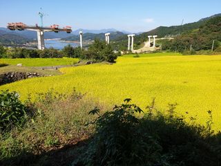 허굴산농장님의 호박 · 자유게시판 작성글 사진